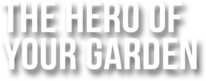 Layer-4-Hero-Heading